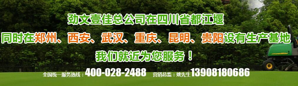 植草格公司 植草格公司