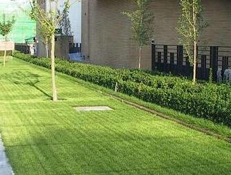 植草格鋪裝 植草格鋪裝