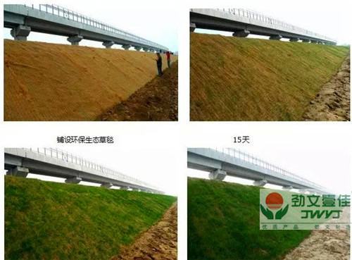 成都生態(tài)毯 成都生態(tài)毯