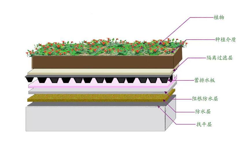 塑料排水板 塑料排水板