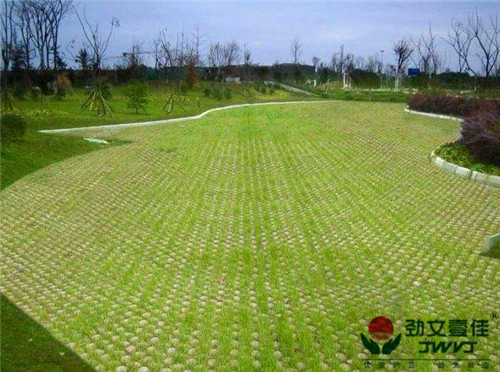 成都植草格 成都植草格